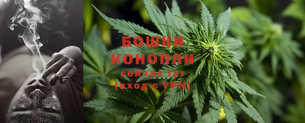 дурь Алзамай