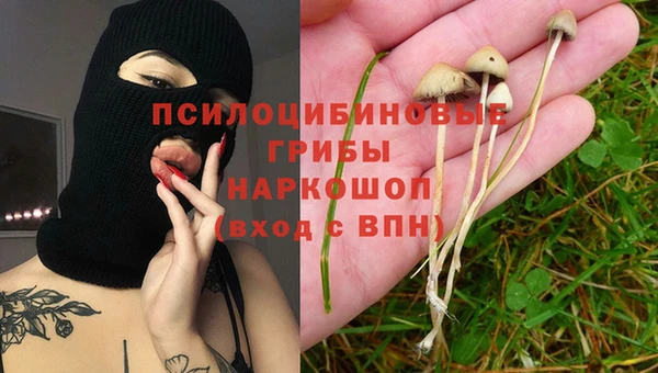 каннабис Алексеевка