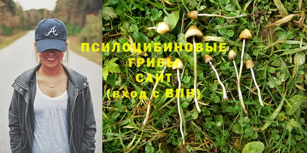 a pvp Алексин